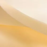 葵花膠棉